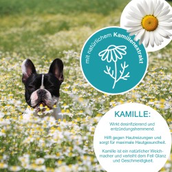 Bioxenic Hundeshampoo (33,90€ / l)